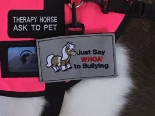 Just Say Whoa to Bullying