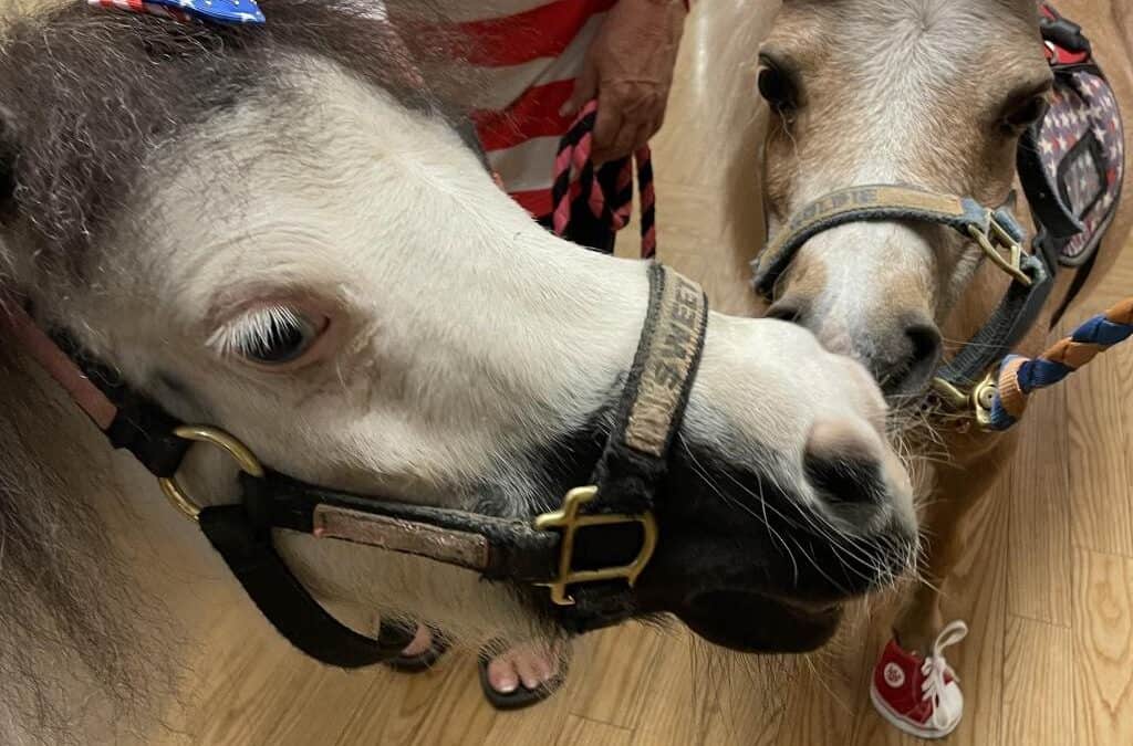 A Little Reassurance