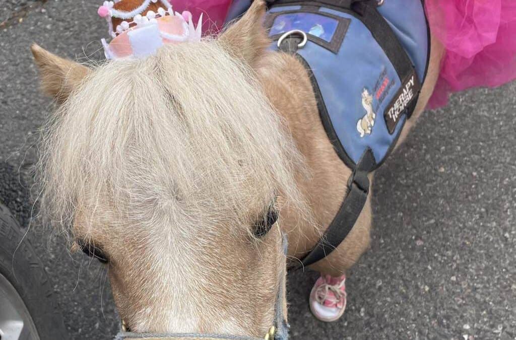 Birthday Celebration