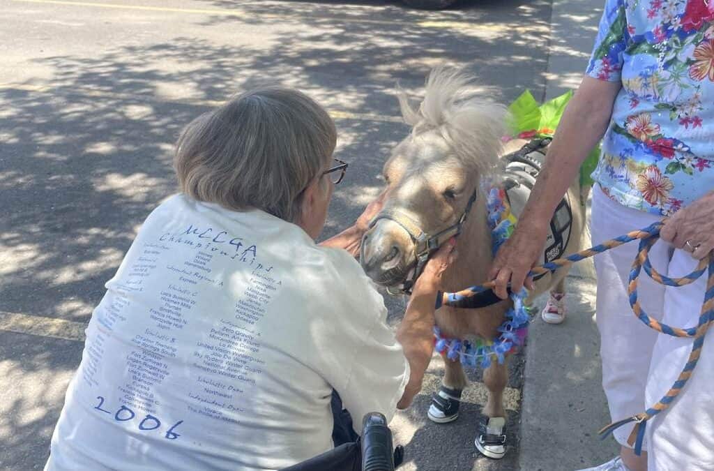 Lined up in 97 Degrees!