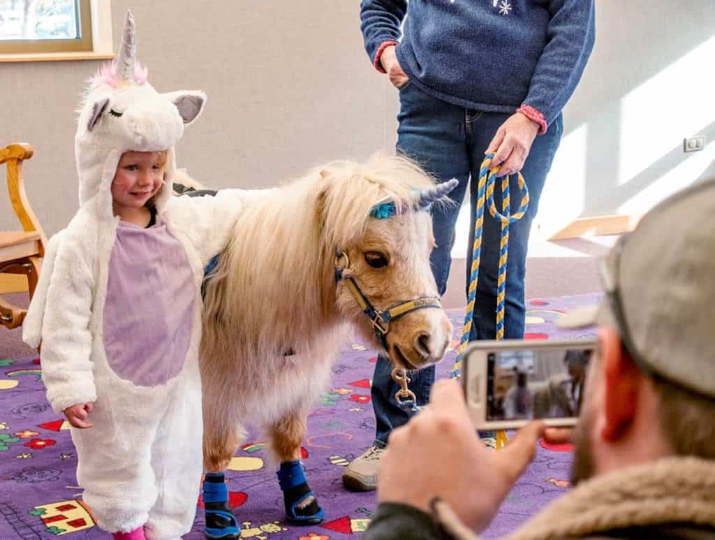 Unicorn themed reading program at the library