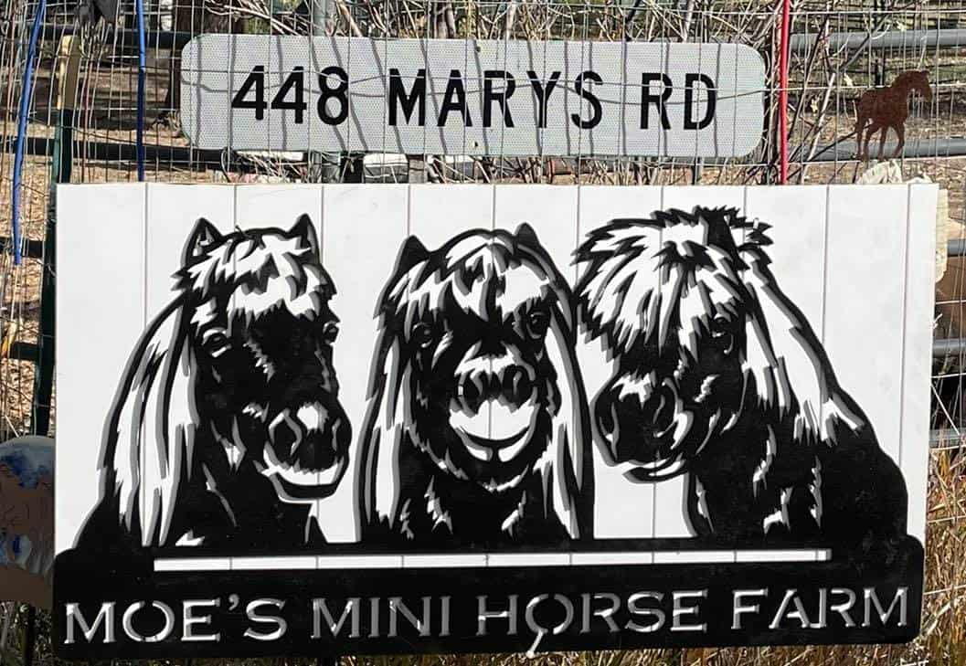 Sign to welcome people to Moe's Mini Horse Farm