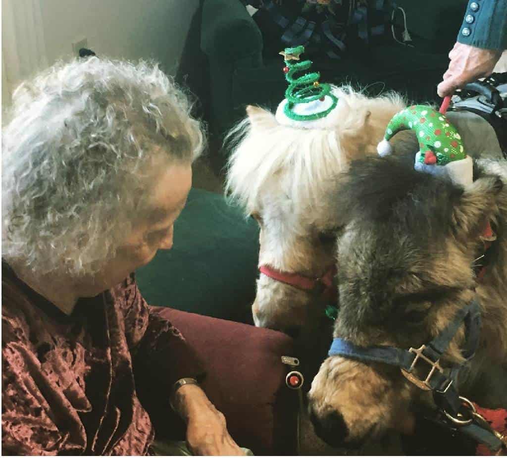 Visiting at a Senior Center